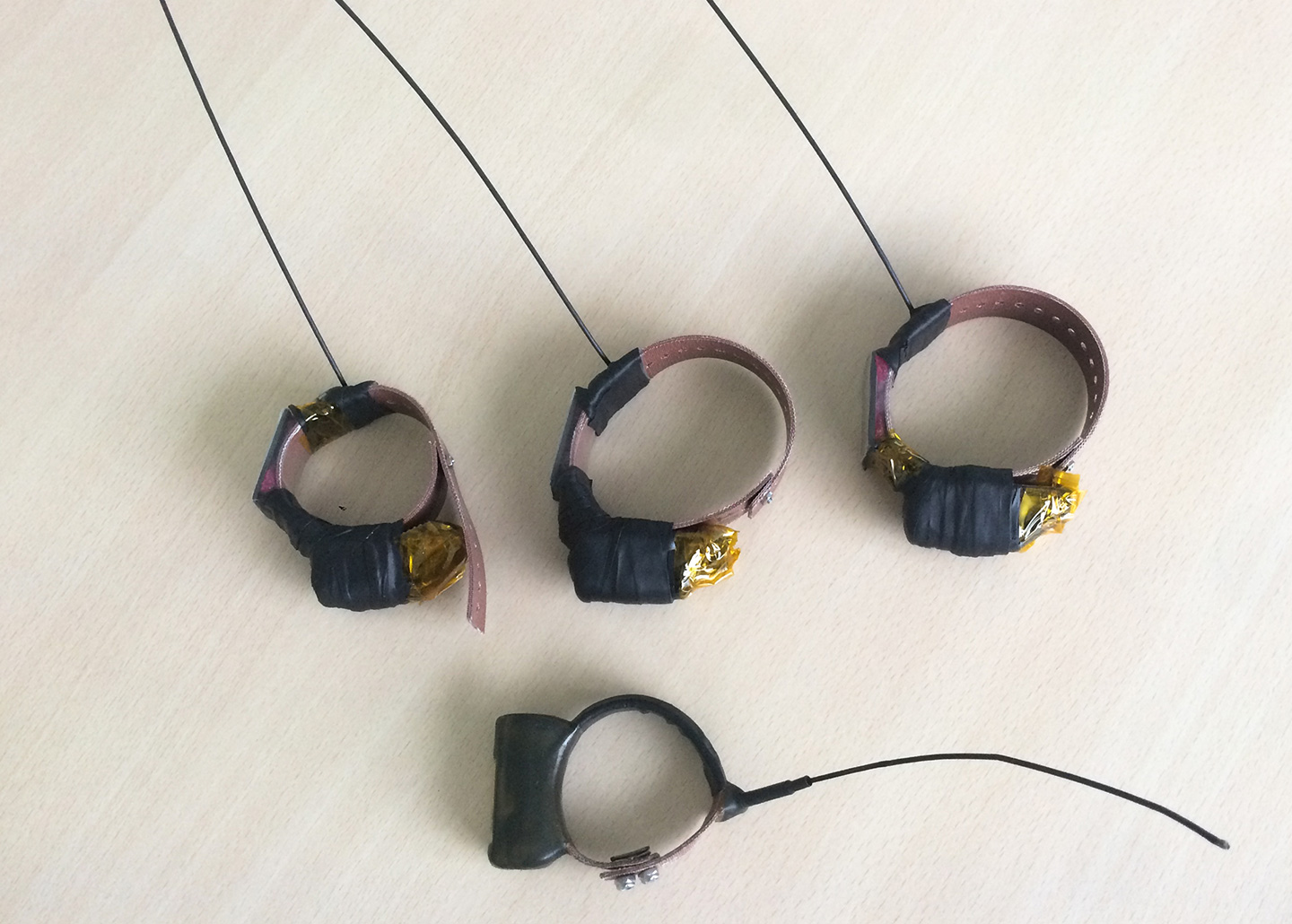 Radio collars