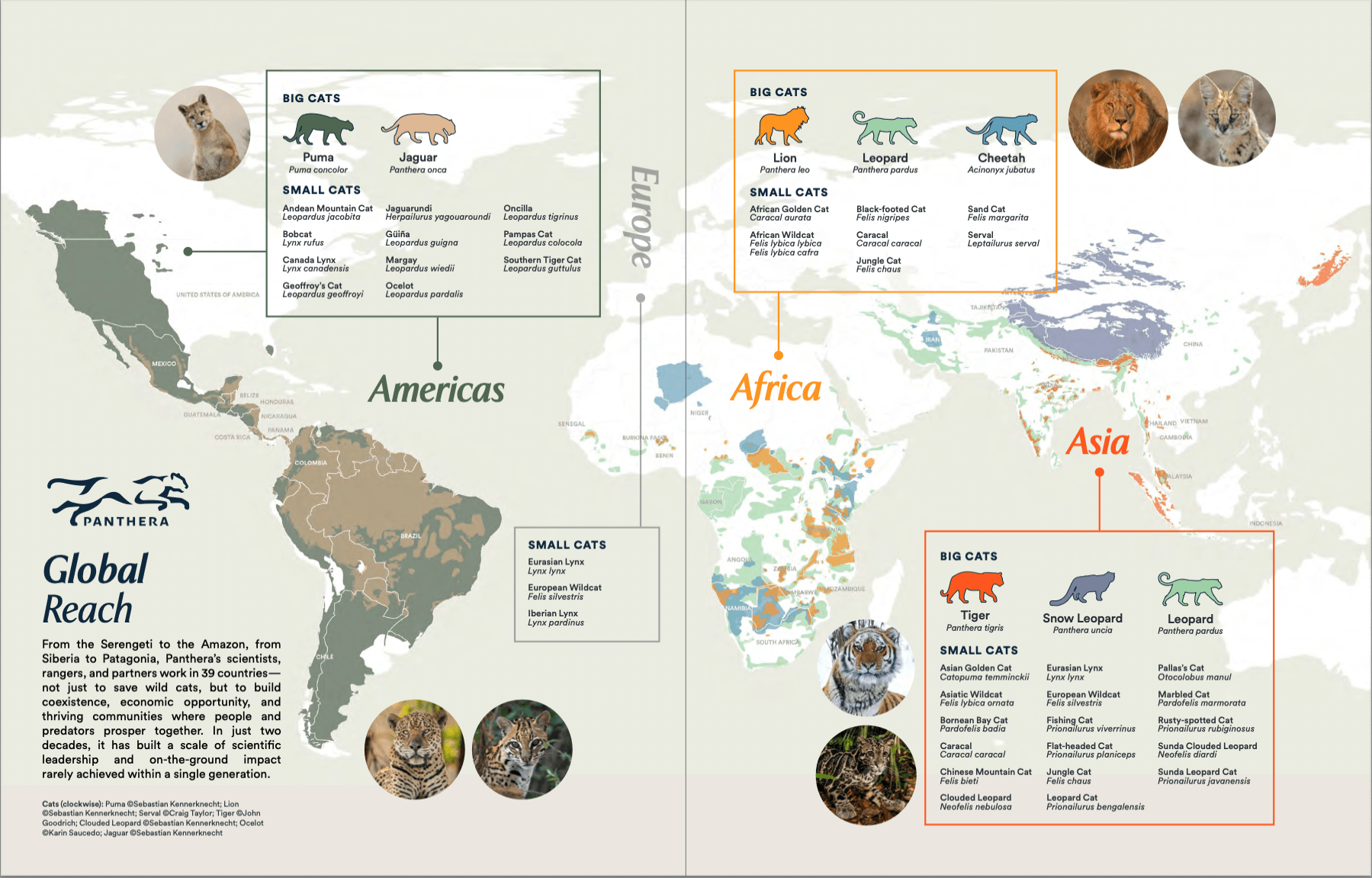 Map showing Panthera’s global reach