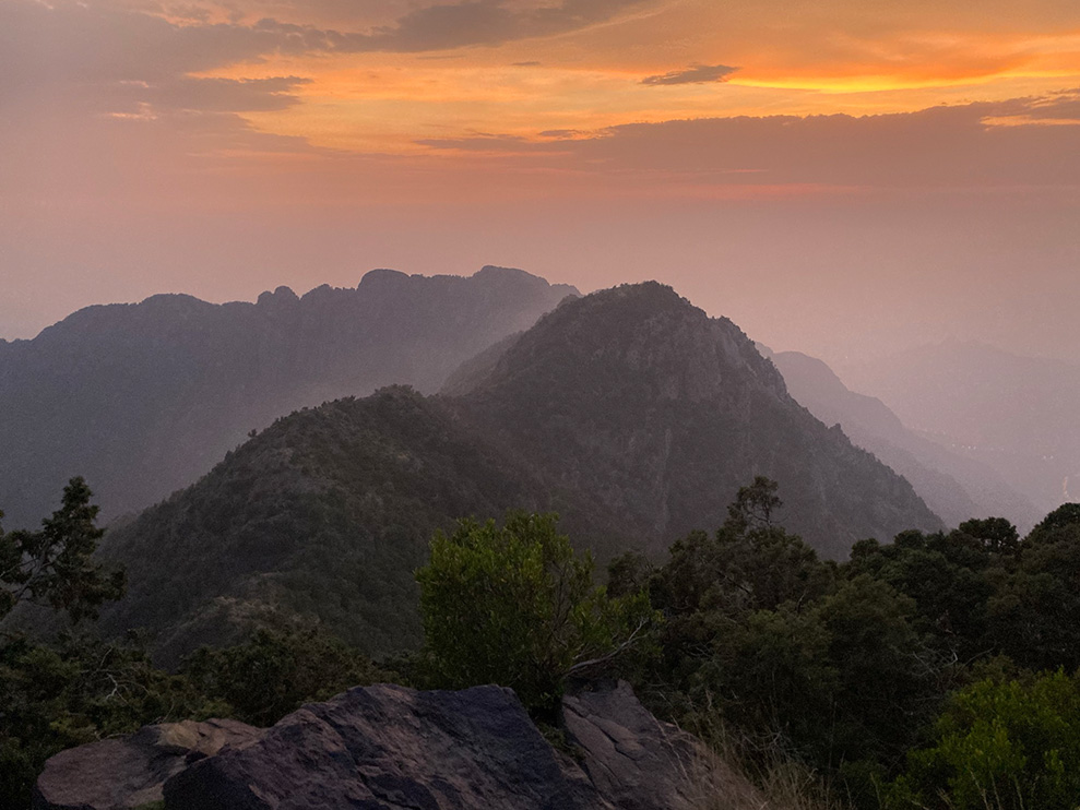 "Arabian landscape at sunset"
