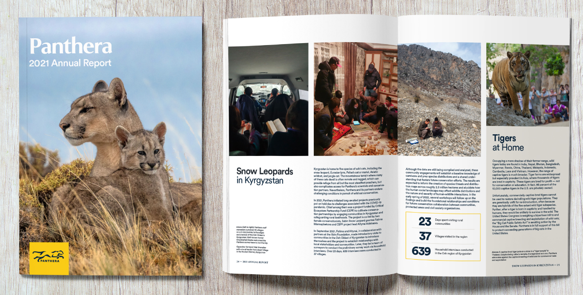 Panthera Annual Report 2021