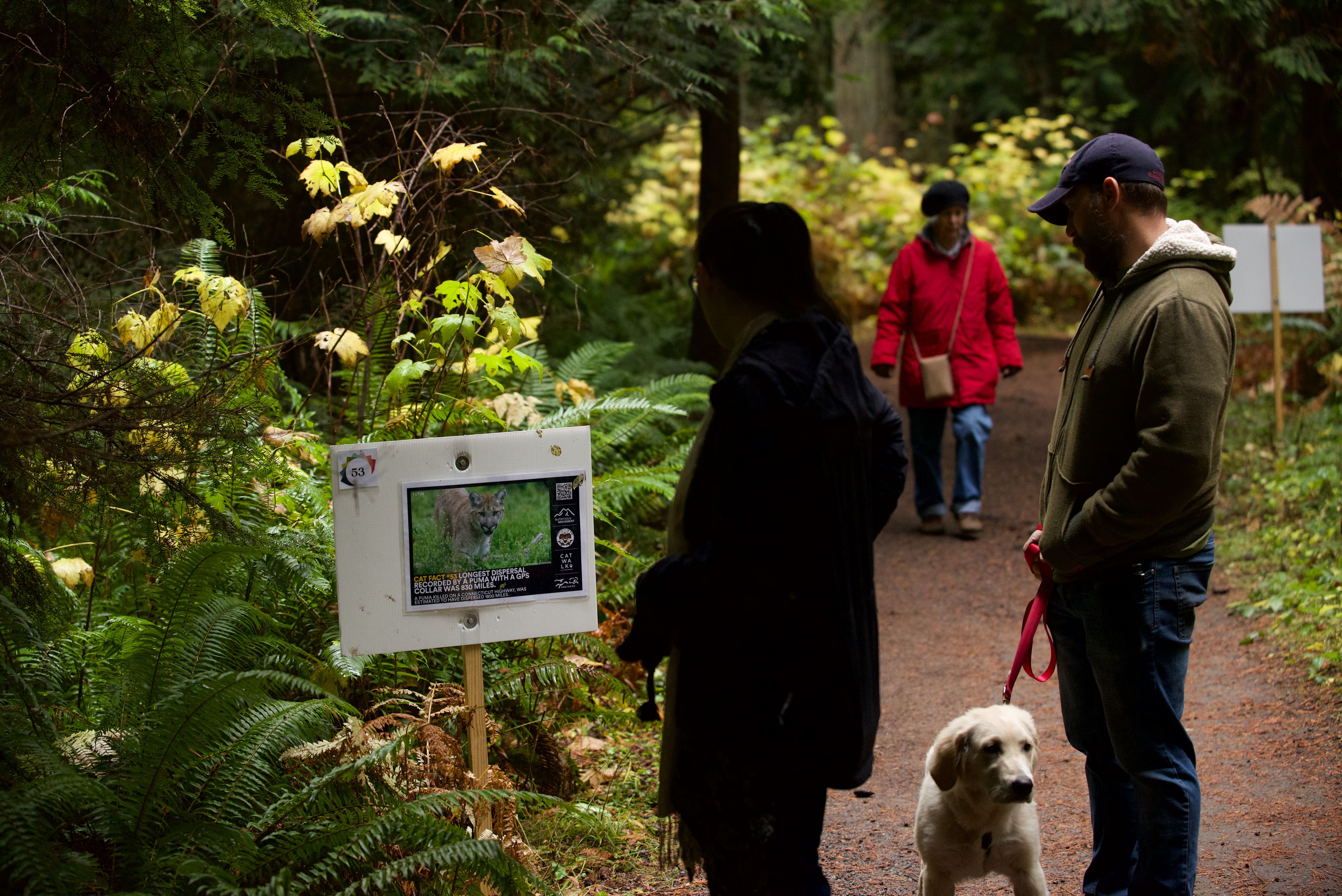 Puma program catwalk