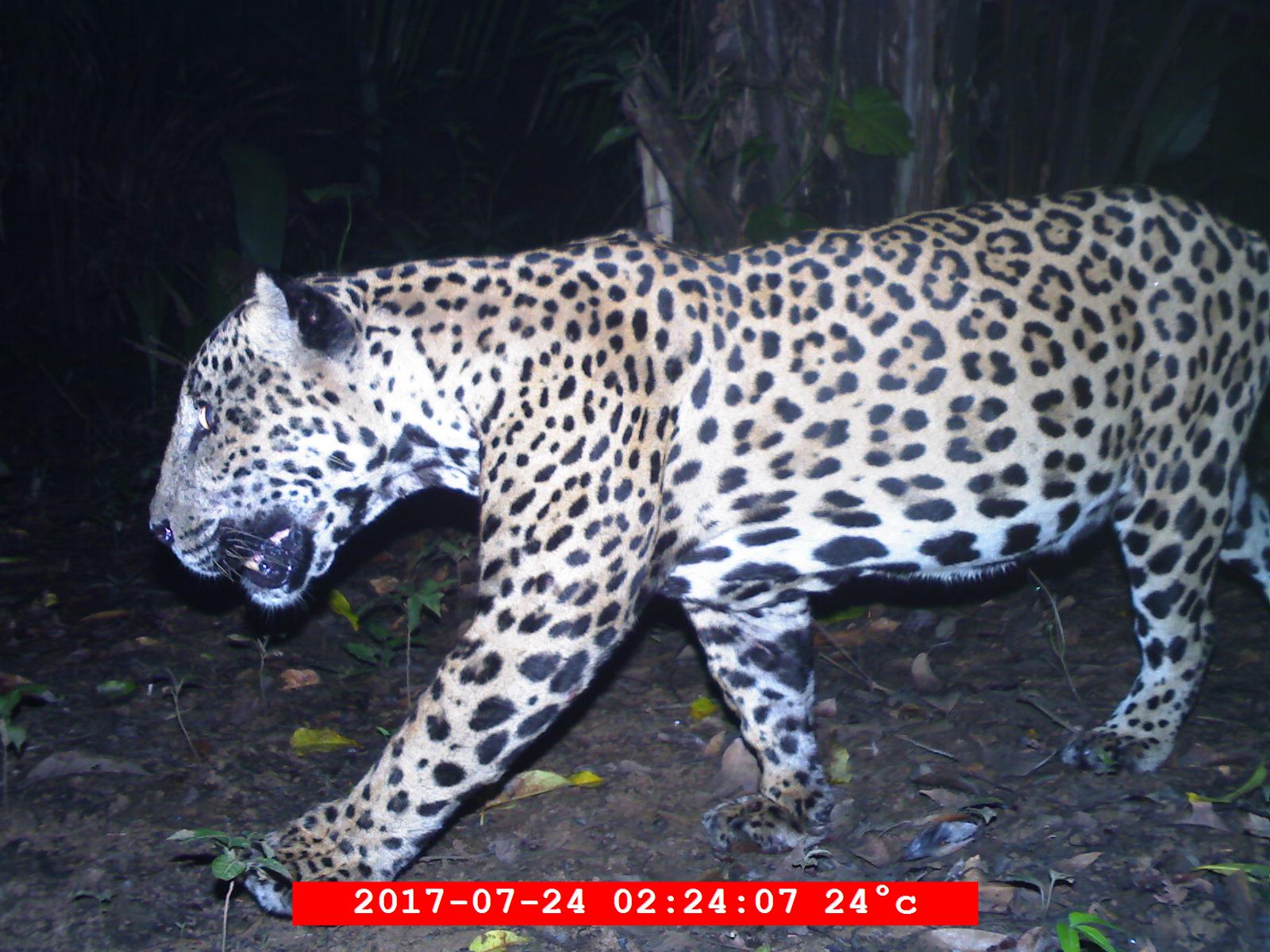 Ben in his healthier days