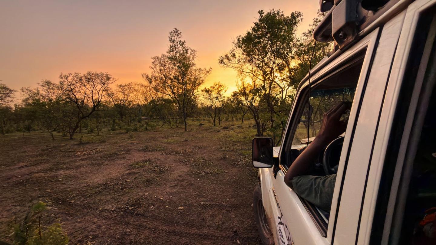sunrise in Niokolo-Koba park, Senegal