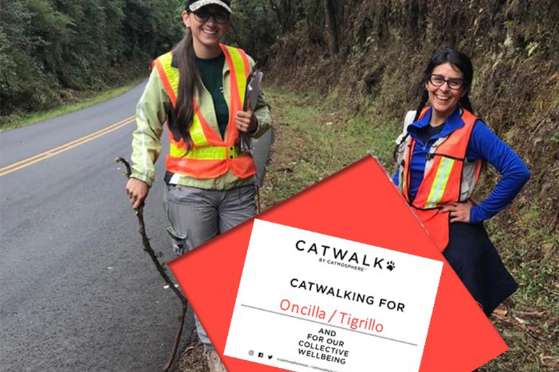 "Women in road with traffic sign"
