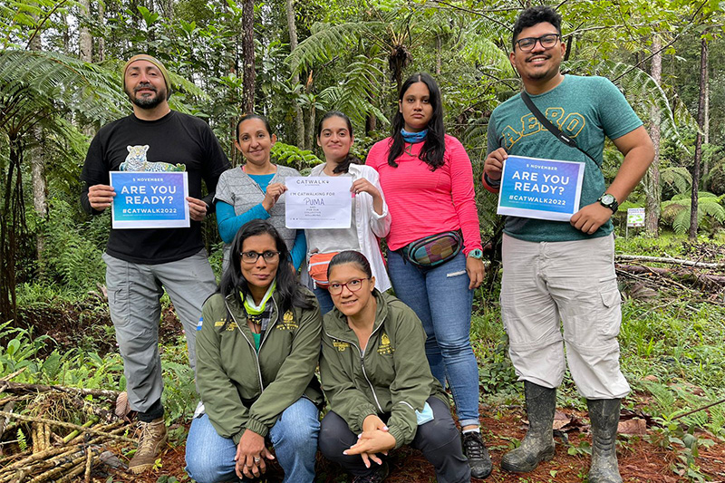 "Panthera Honduras is walking for pumas"