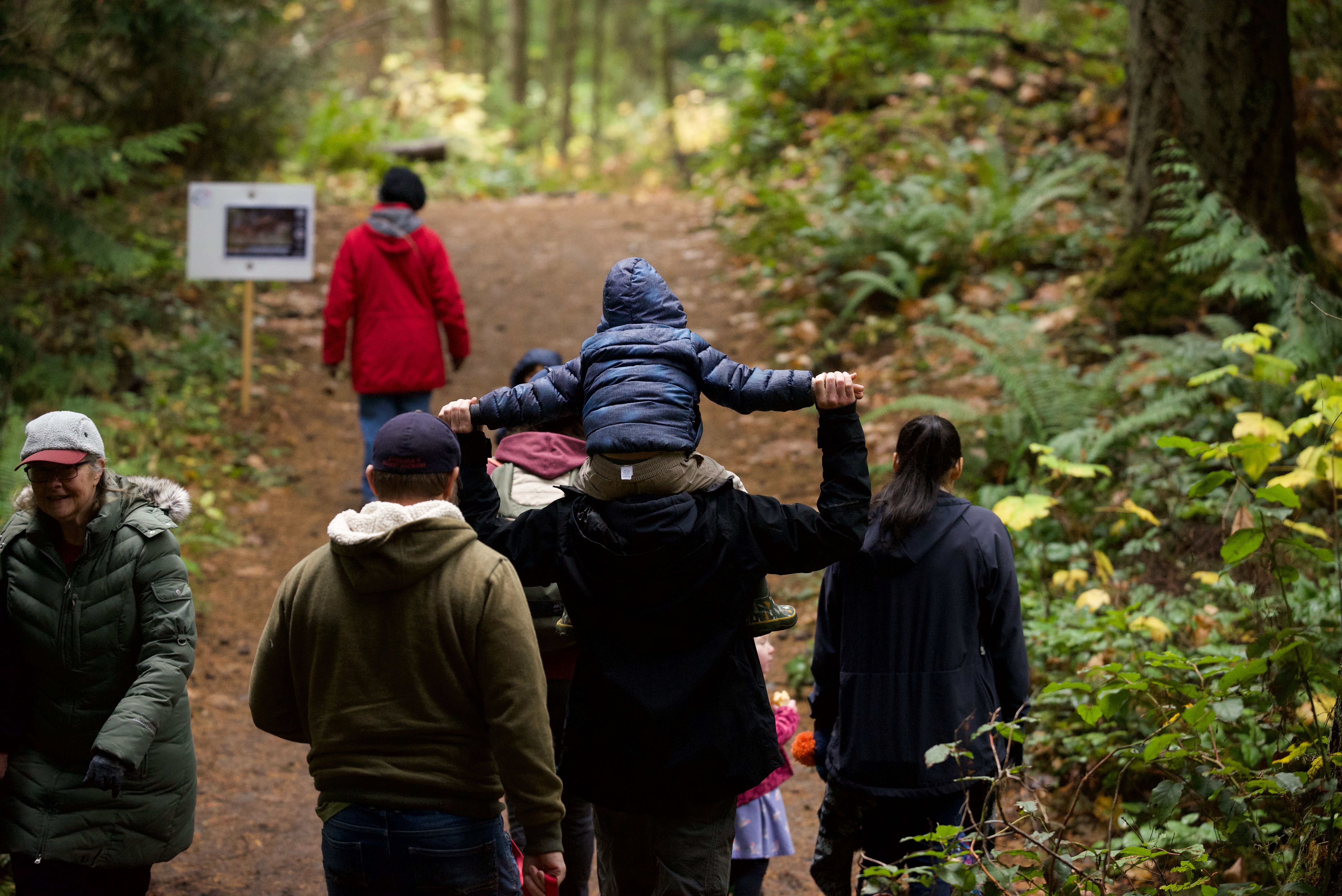 Puma program Catwalk 3