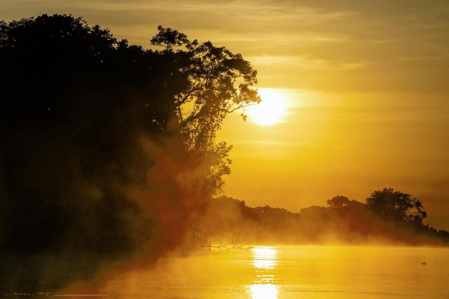 River in the Pantanal