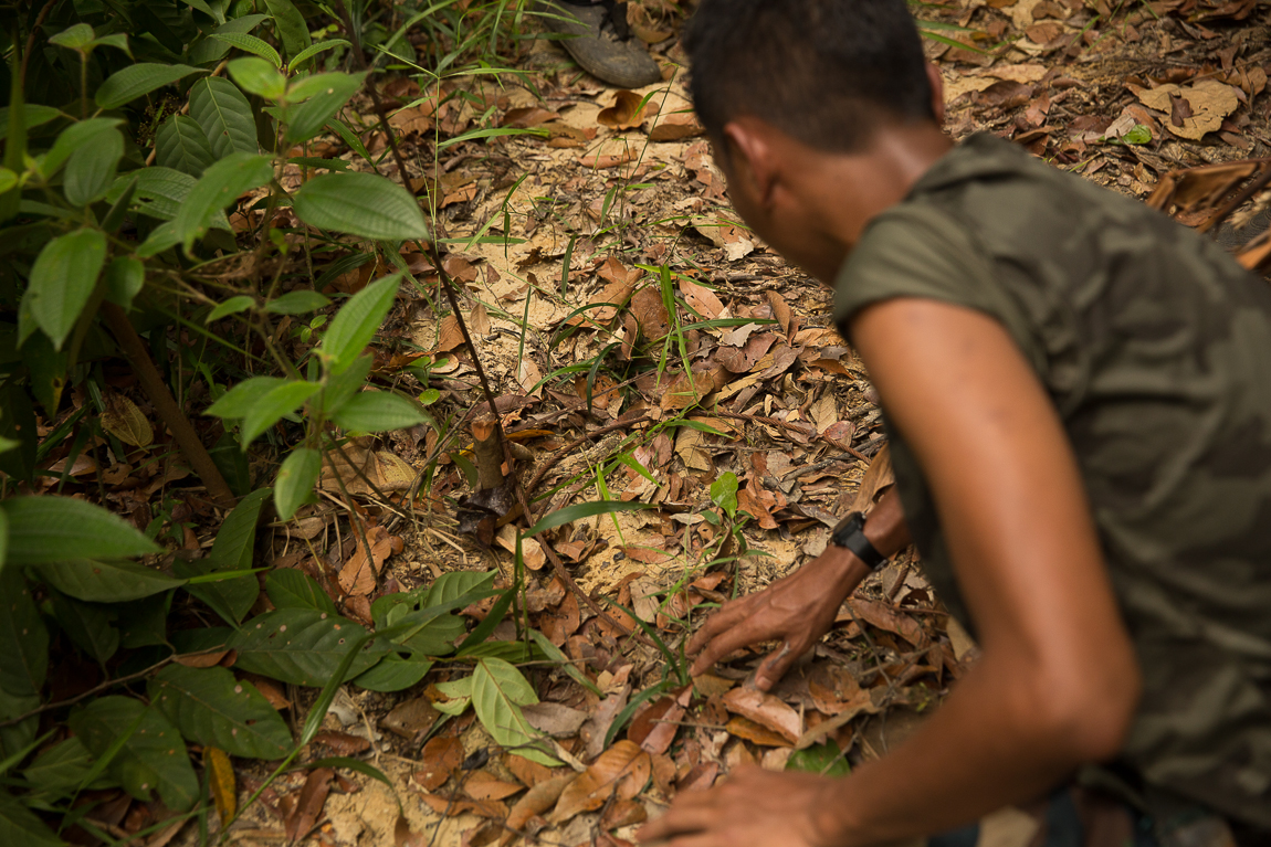 As we continue our work in the region, Panthera remembers the importance of protecting this park as a catscape and an example for how to manage and protect other catscapes around the globe.