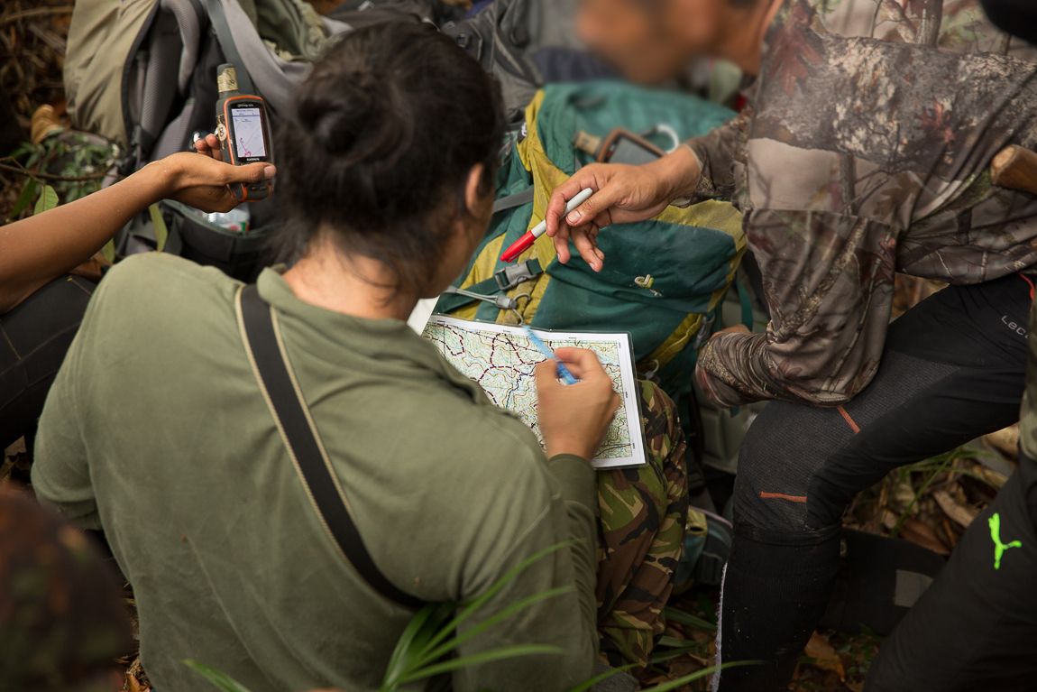 This vigilance team has become a beacon of hope for the world’s largest big cats.