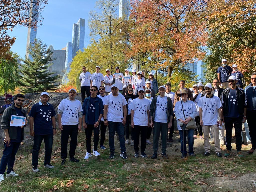 Catwalk in Central Park