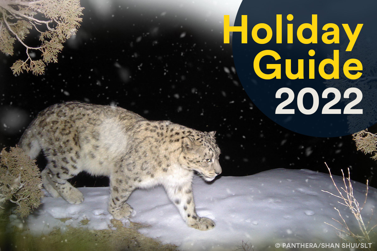 Panthera Holiday Guide 2022