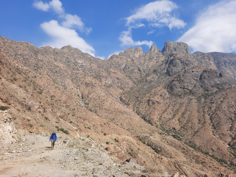 A view in the Arabian Desert