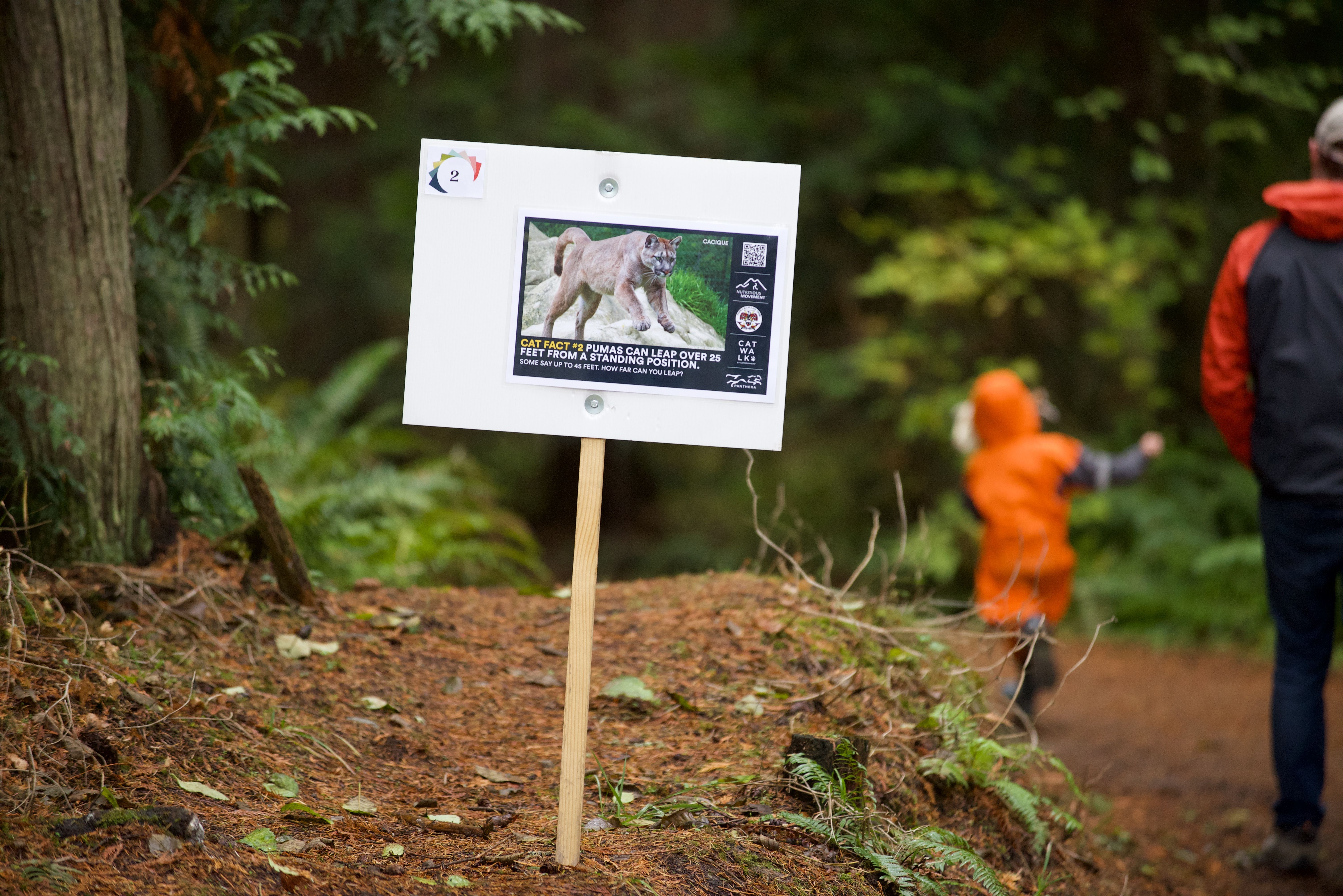 Puma program Catwalk 2