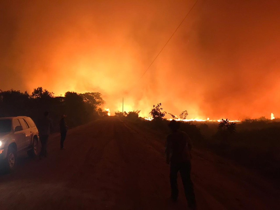 The Panthera team tries to prevent the fires from destroying wooden bridges.