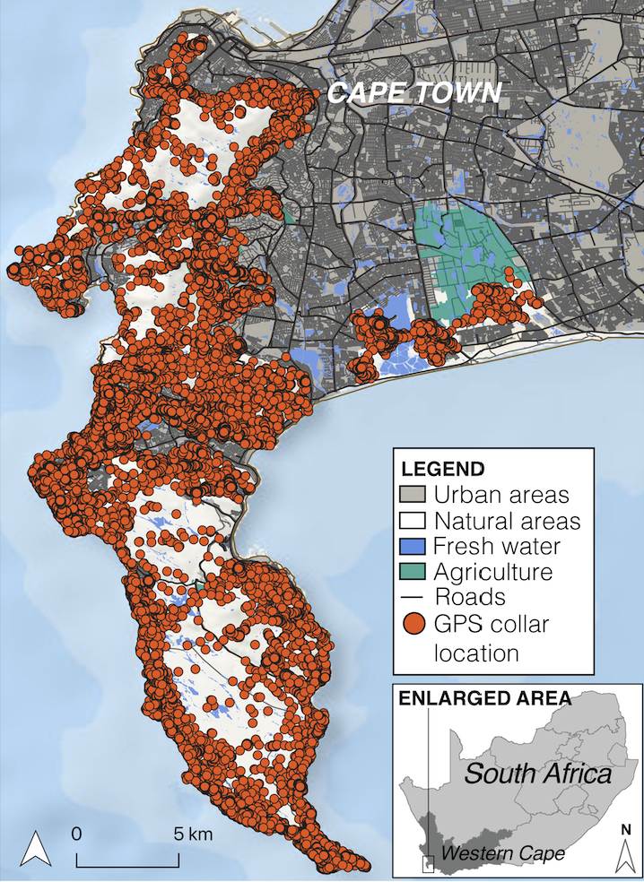 Project map of Cape Town