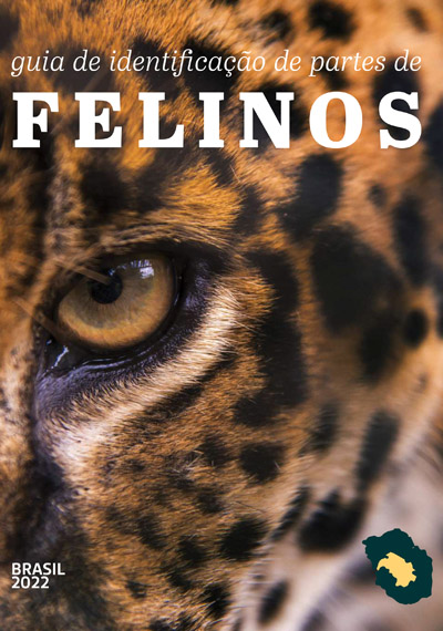 Field Guides: Guia de Identificacion Brasil