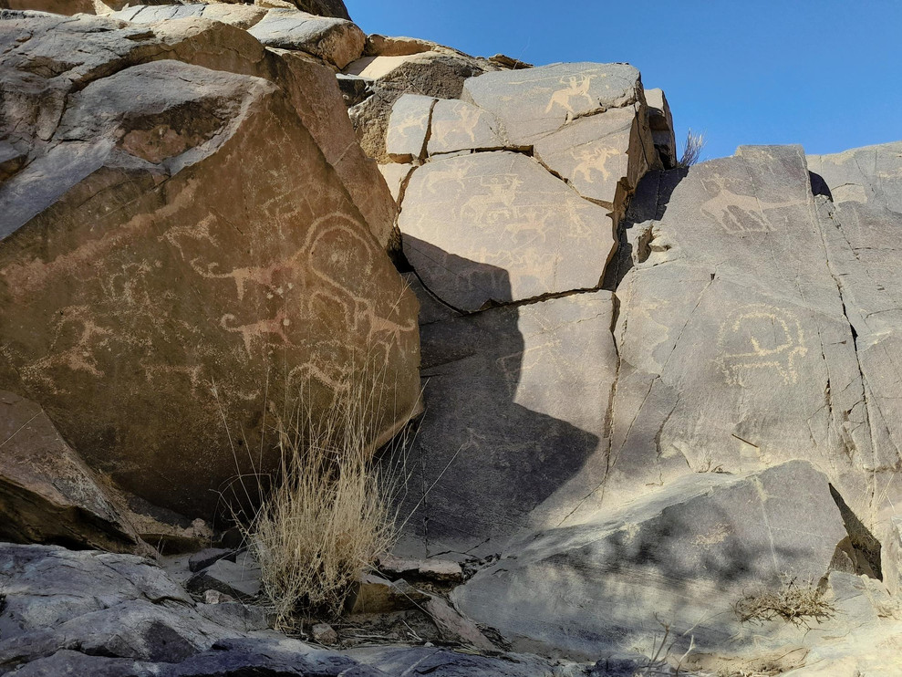 Petroglyphs depict humans, Arabian leopards and other wildlife in Saudi Arabia.