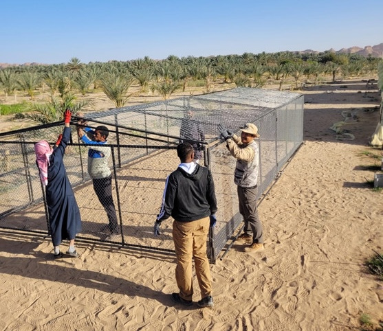 Panthera and local community members build predator-proof enclosures for livestock.