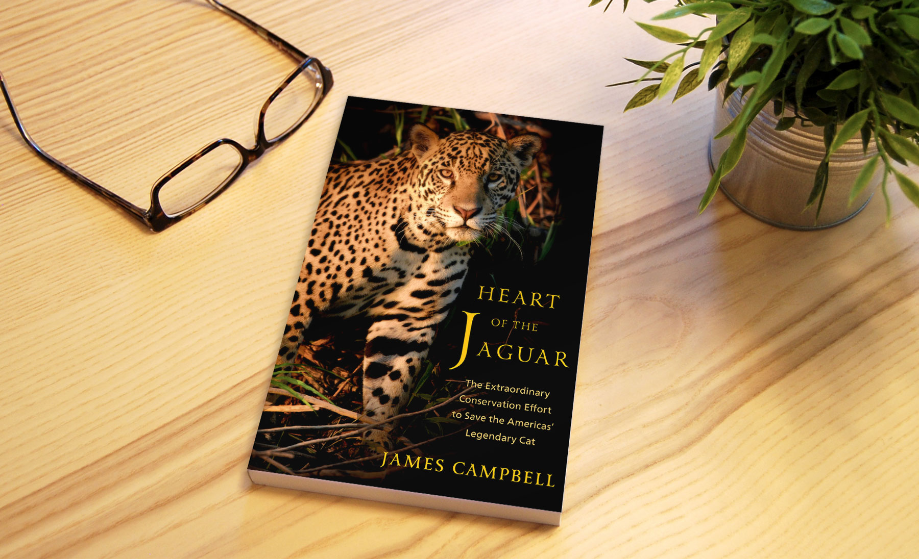 Heart of the Jaguar book