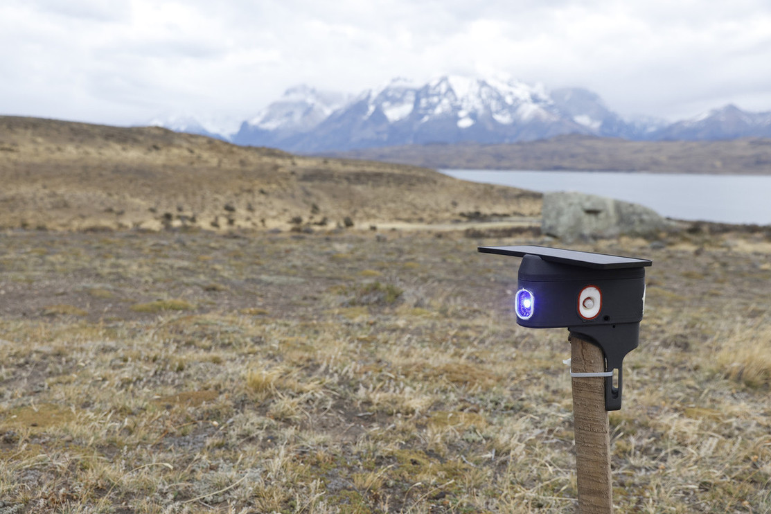 Blink+A in the field near mountains    