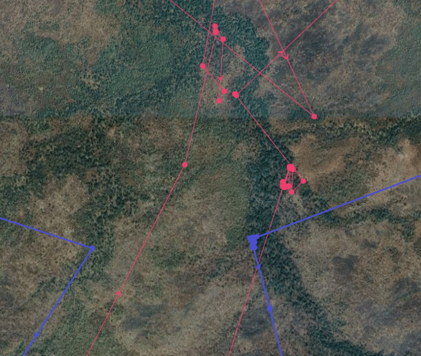 Data points transmitted from collars appear as a cluster, shown here, which often indicates a kill.
