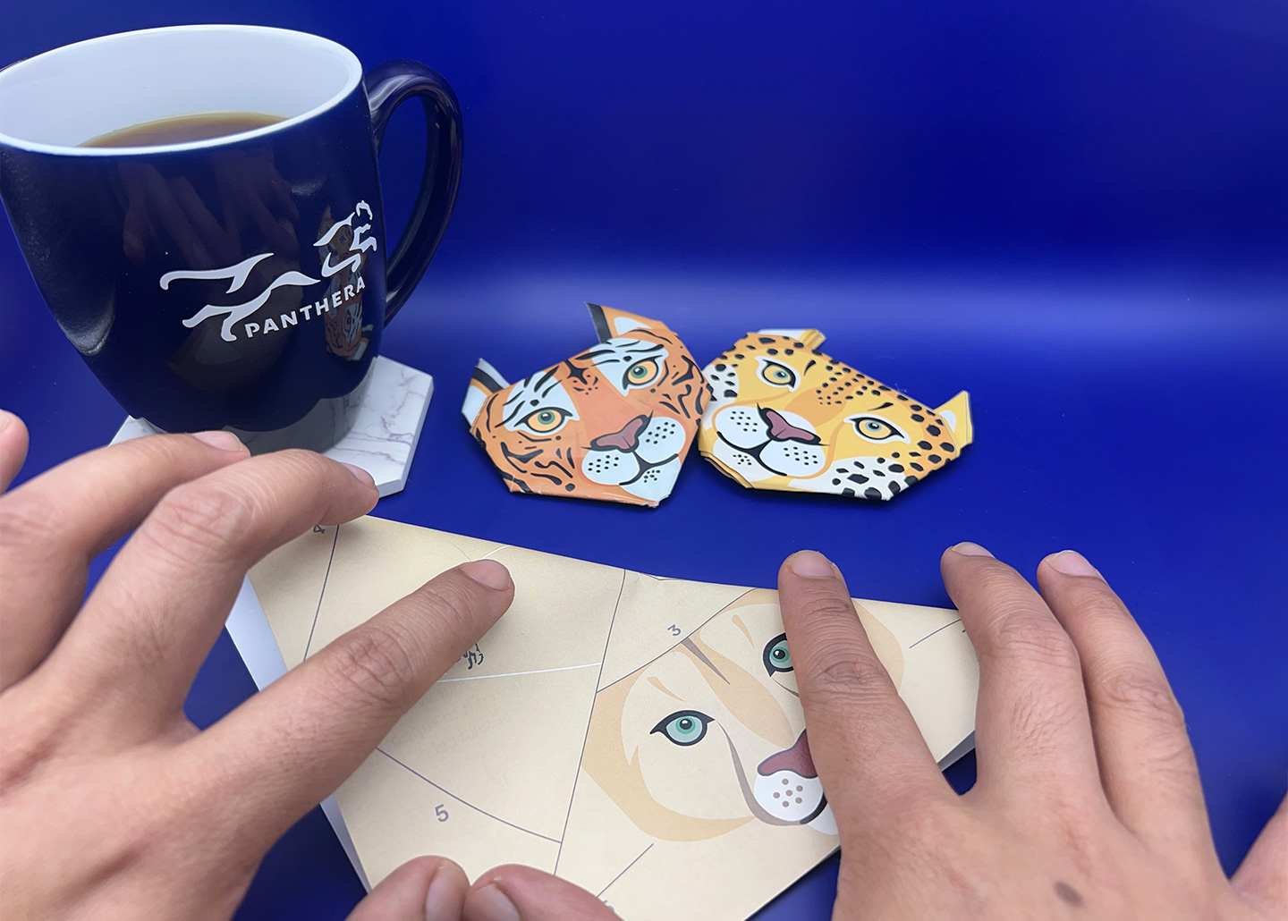 Origami Instructions Step 1