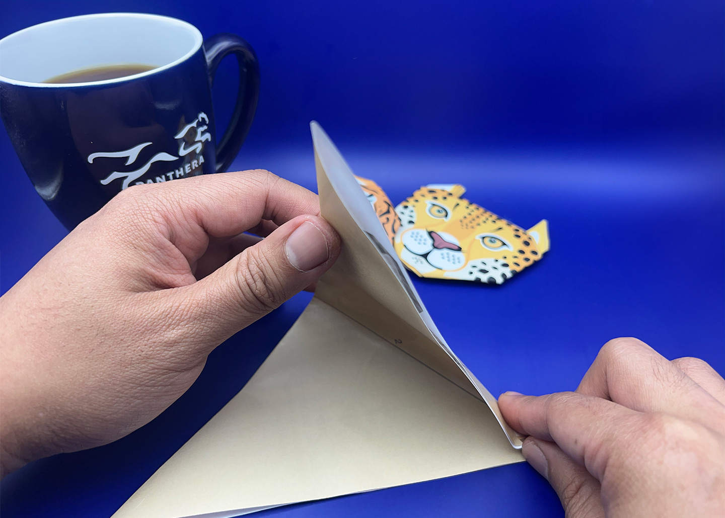 Origami Instructions Step 2