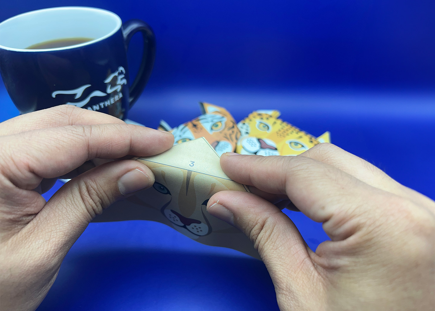 Origami Instructions Step 3