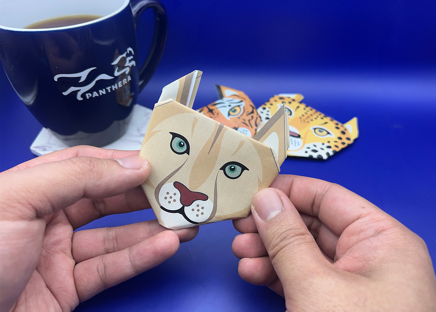 Origami Instructions Step 6