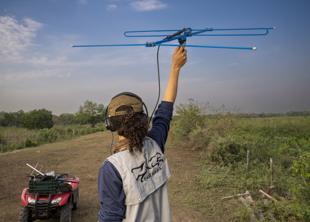 Scientist using telemetry