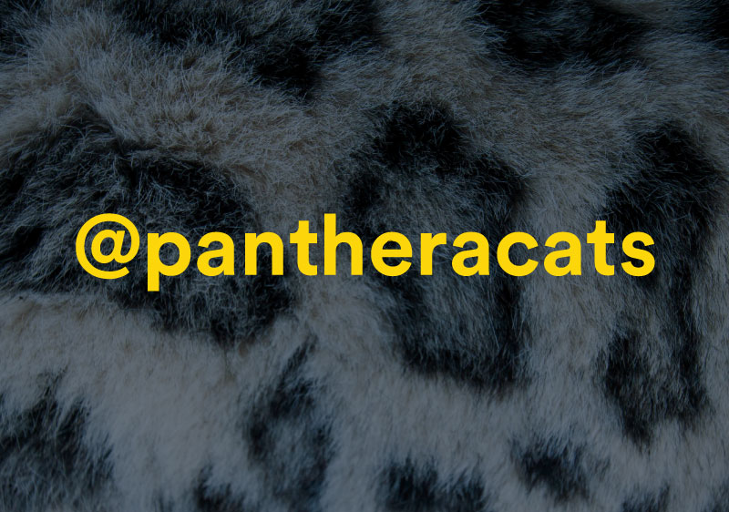 @pantheracats