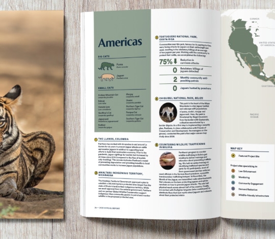 Annual Report