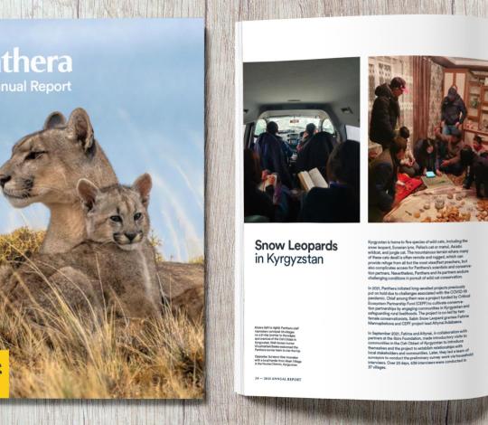 Annual Report preview