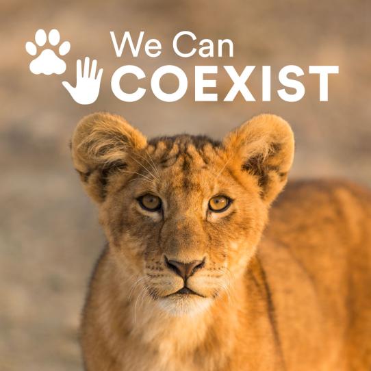 We Can Coexist