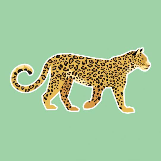 Leopard
