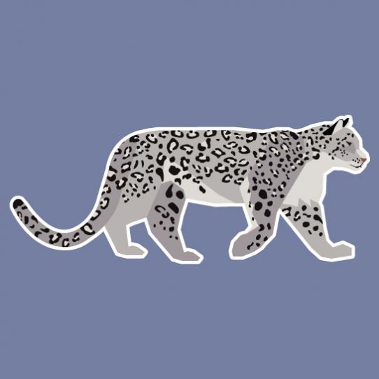 Snow Leopard