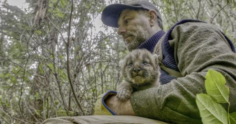 Mark Elbroch with puma kitten