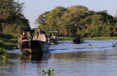 Researchers riding in a boat looking for jaguars and other wildlife