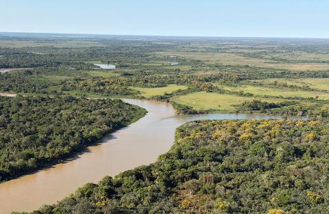 Jaguar Wildlife Refuge