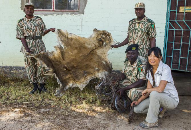 Scientist and police holding tiger skin