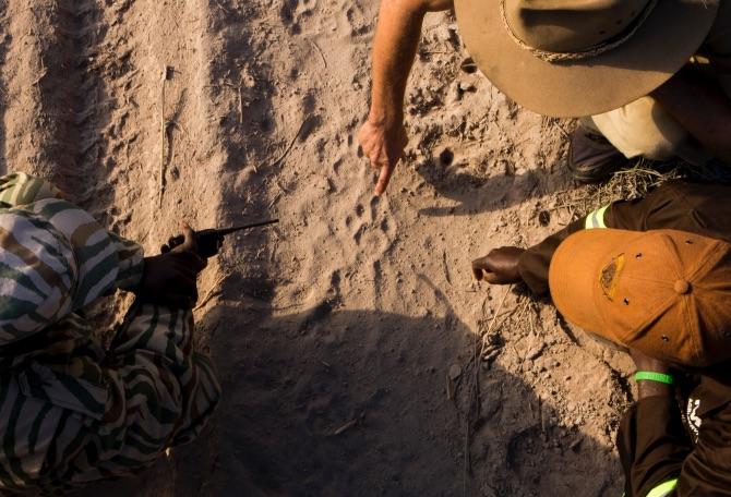 3 people looking at paw tracks